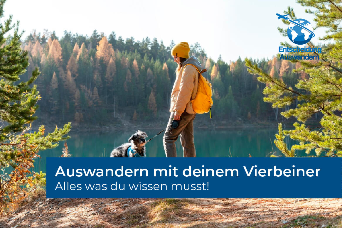 Auswandern mit Hund